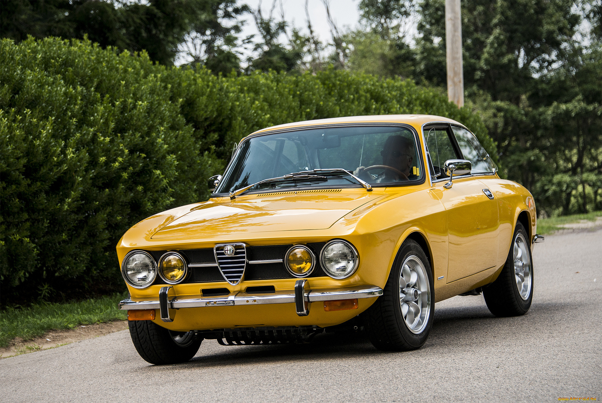 alfa romeo giulia, , alfa romeo, , , 